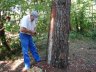 dsc07310.jpg - 